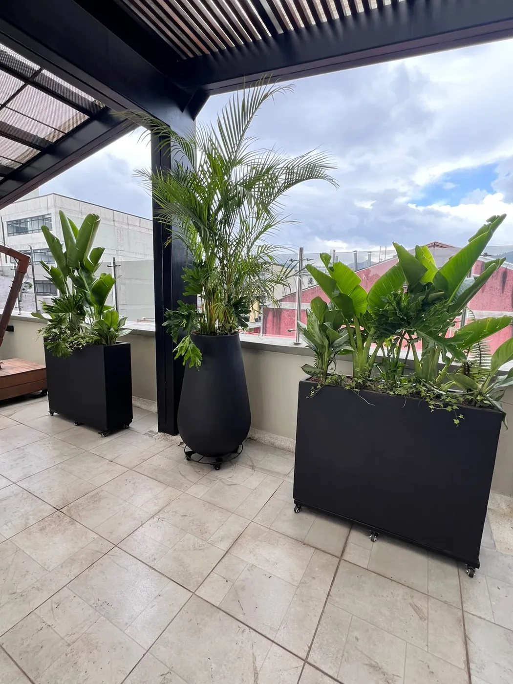 La misma terraza después: jardineras negras con palmas, plataneras y plantas tropicales