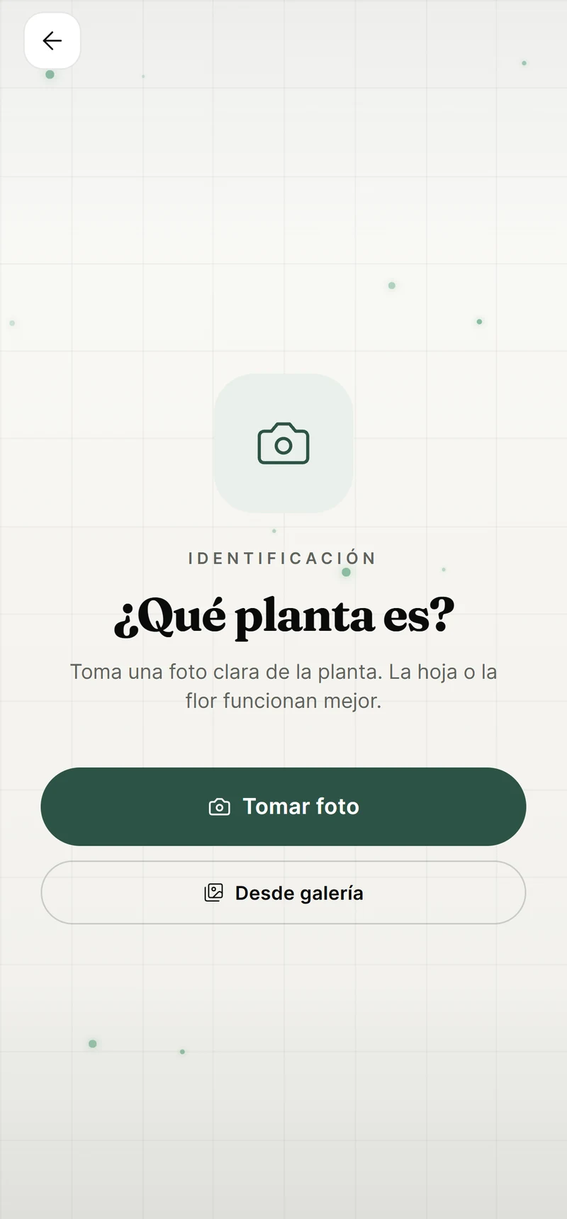 App Jardinova: la pantalla del escáner pidiendo la foto de la planta