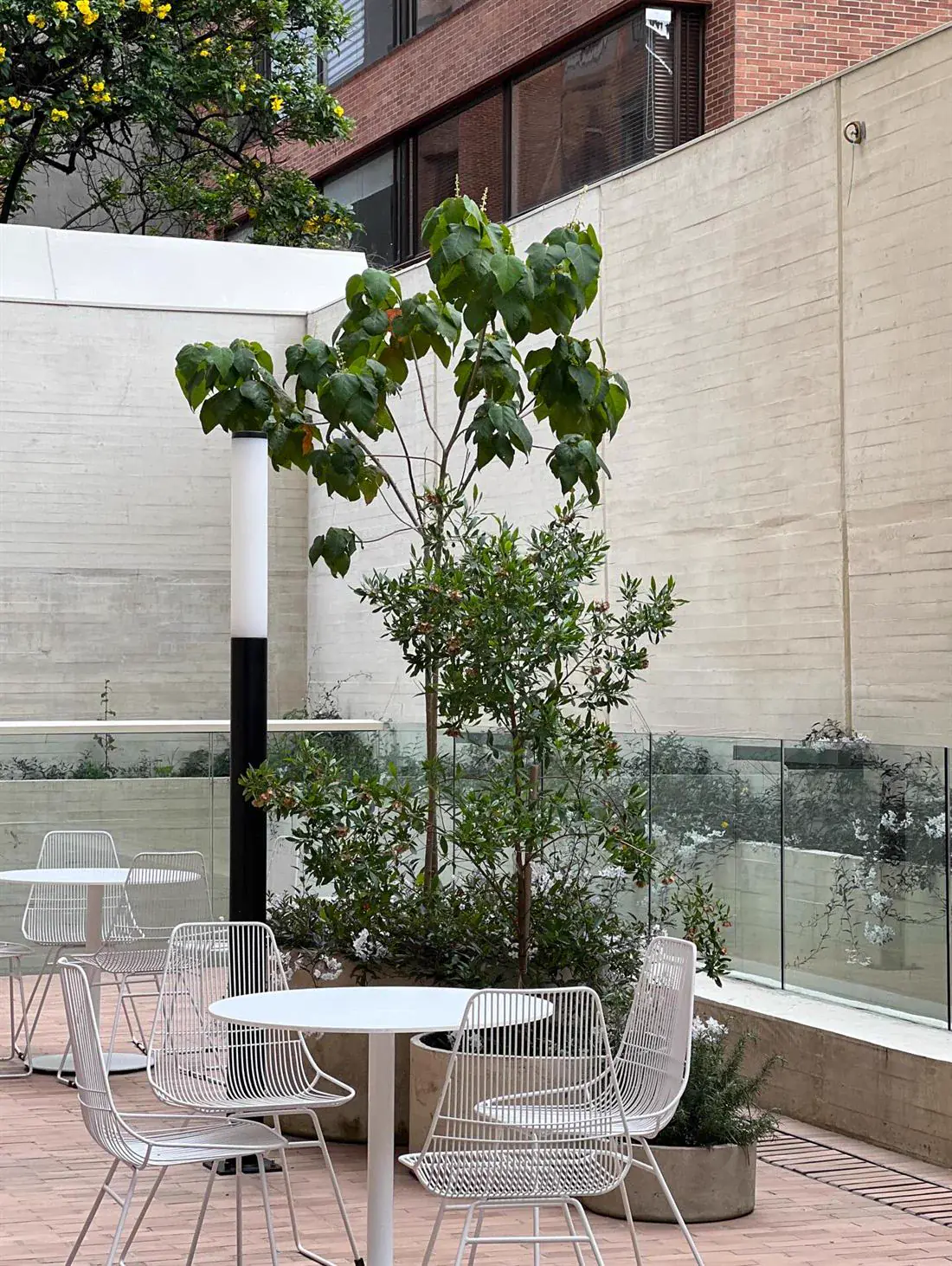 Proyecto Jardinova — paisajismo en Bogotá